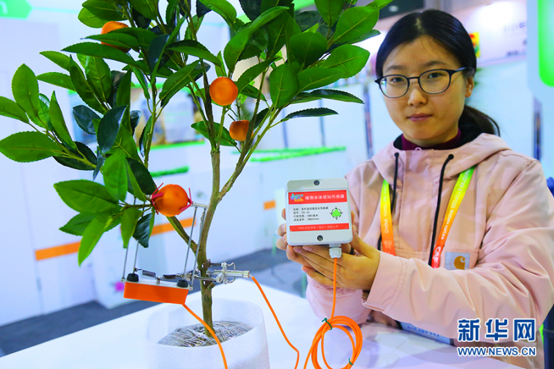 植物本體傳感器產品 植物本體傳感器產品