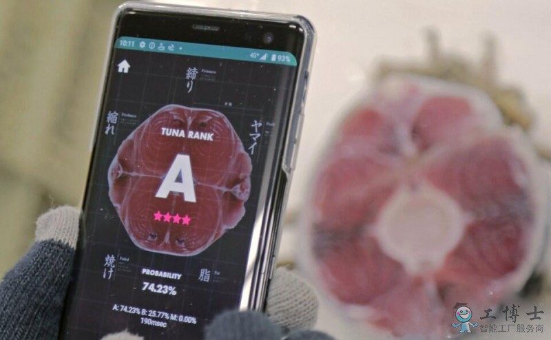  金槍魚的品質用AI鑒定
