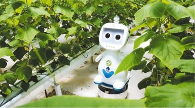 給農(nóng)業(yè)插上科技的“翅膀”