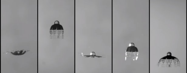 微型水母機器人可揭示海洋環境 有望將藥物輸送到體內