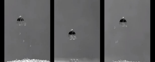 微型水母機器人可揭示海洋環境 有望將藥物輸送到體內