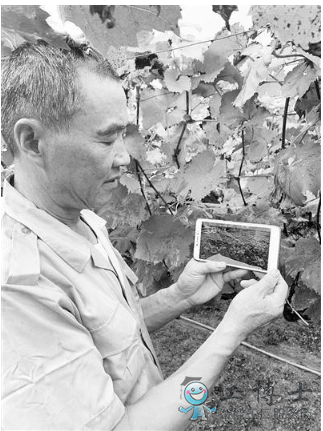 無錫市先行先試加快發展智慧農業，已建設農業物聯網應用點近400個