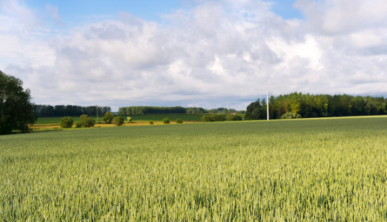 五大問題決定智慧農業的走向