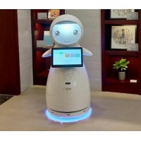 小雪迎賓機器人 穿山甲機器人