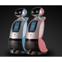 艾娃客服二代 艾娃機(jī)器人 客服機(jī)器人