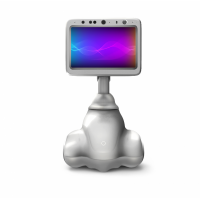 服務(wù)機(jī)器人|三寶迷你小精靈