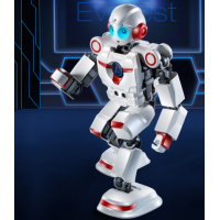 珠穆朗瑪|能力風(fēng)暴|類人家用機器人