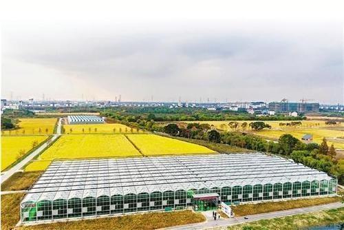 智慧農(nóng)業(yè)