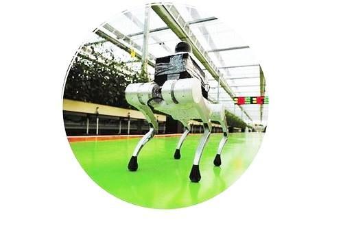 智慧農(nóng)業(yè)