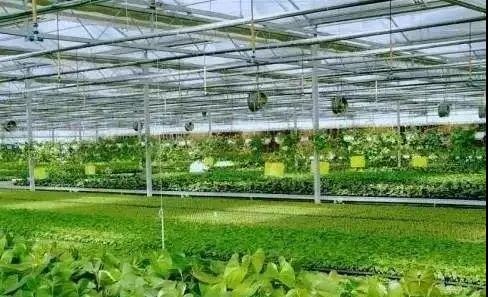 智慧農業 智慧農業