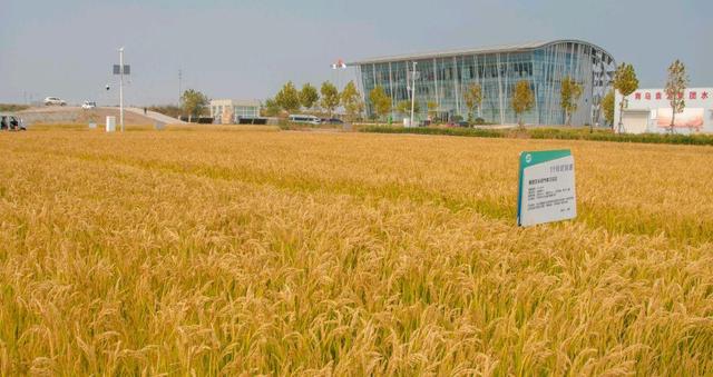 智慧農(nóng)業(yè)