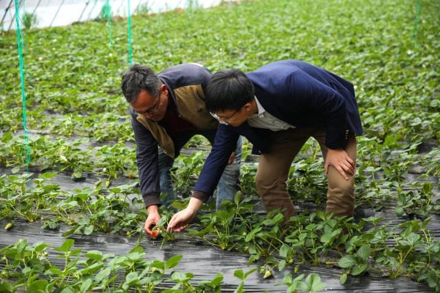 智慧農(nóng)業(yè) 智慧農(nóng)業(yè)