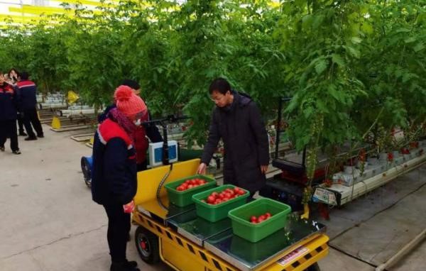 智慧農(nóng)業(yè)