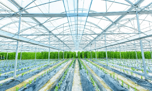 智慧農(nóng)業(yè)