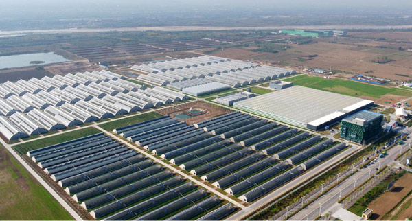 智慧農業 智慧農業