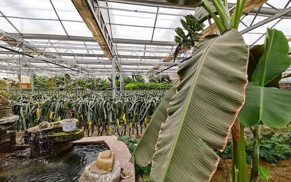 智慧農(nóng)業(yè)