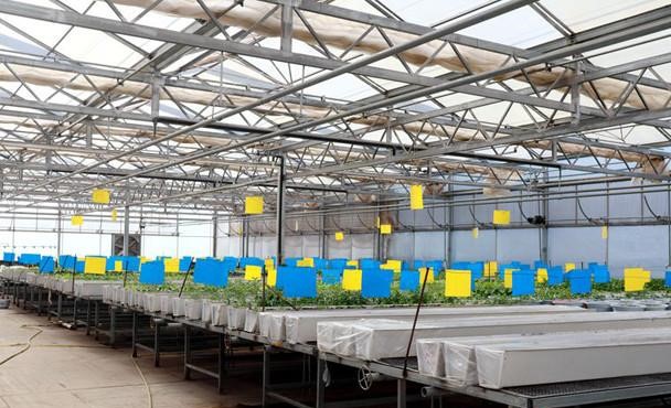 智慧農(nóng)業(yè) 智慧農(nóng)業(yè)