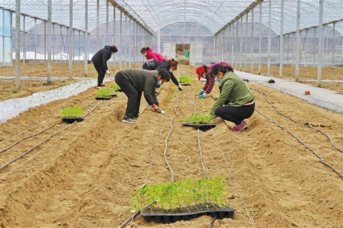 智慧農(nóng)業(yè)