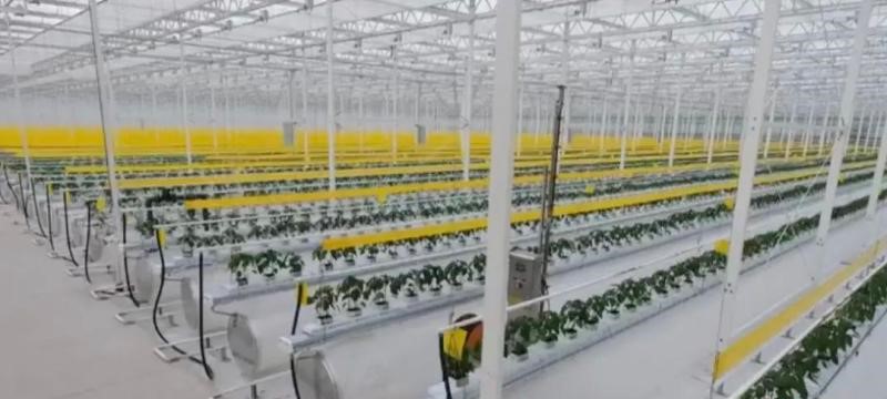 智慧農業 智慧農業