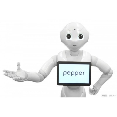 pepper——人形機器人