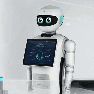 小笨——人形機器人