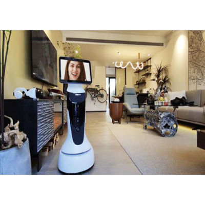 健康小屋招待服務機器人---智能服務豹小秘mini機器人