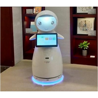 小雪迎賓機器人 穿山甲機器人