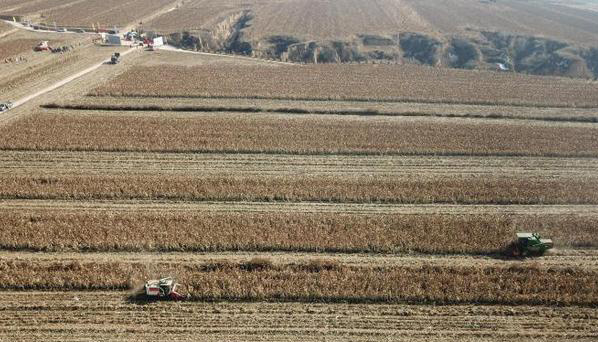 智慧農(nóng)業(yè)