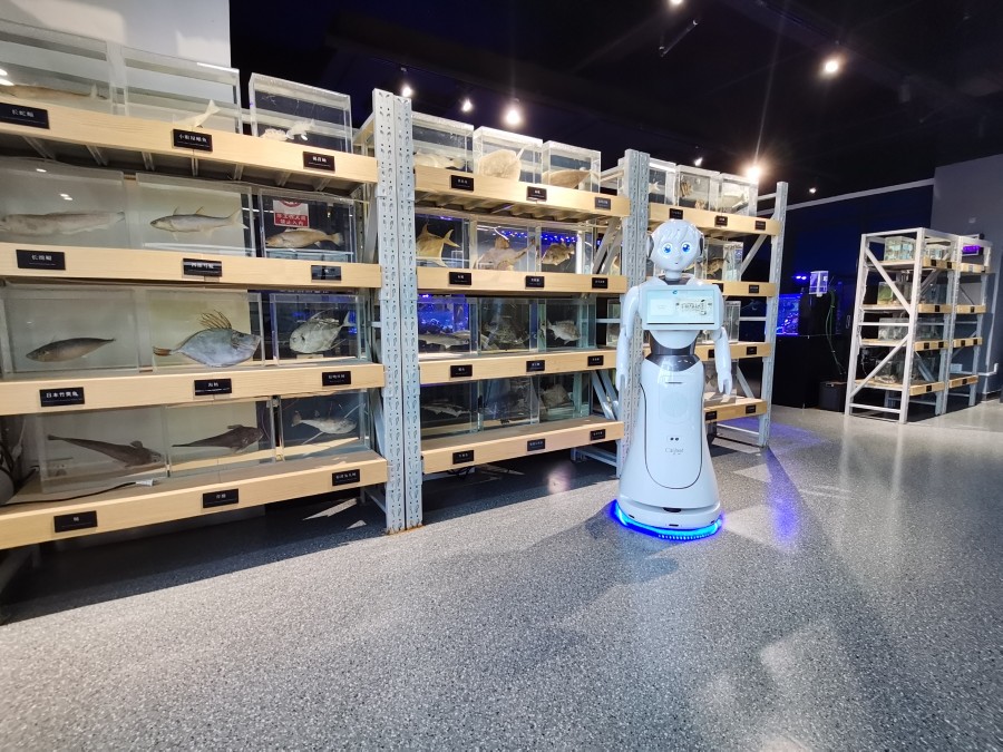 展廳機器人
